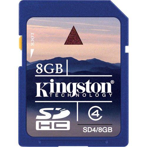 SD card Kingstion SD48GB